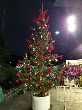 日本武道館・2日目