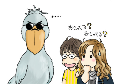 はしびろこう